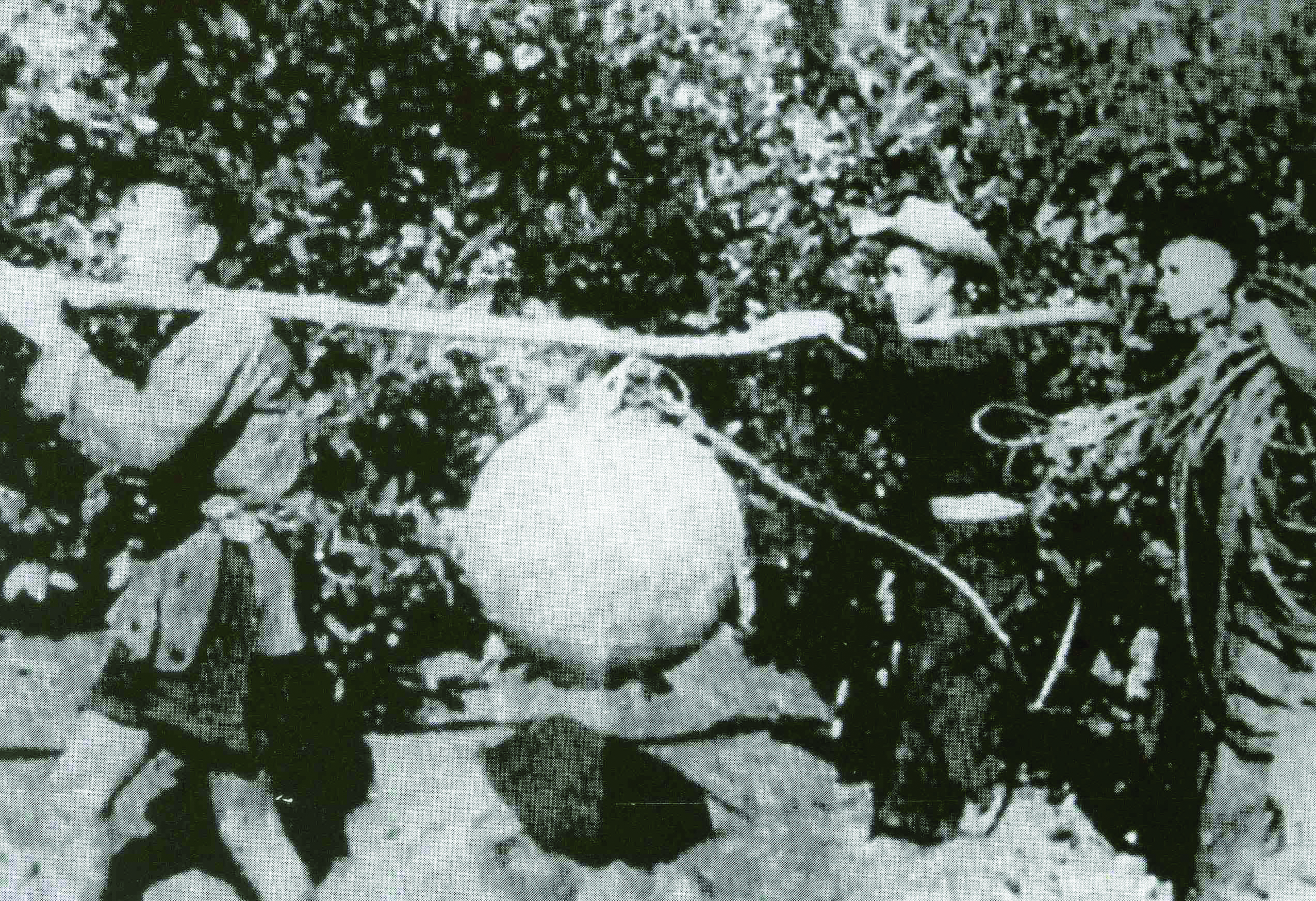 Nghiên cứu chế tạo thiết bị rà phá thủy lôi, bom từ trường