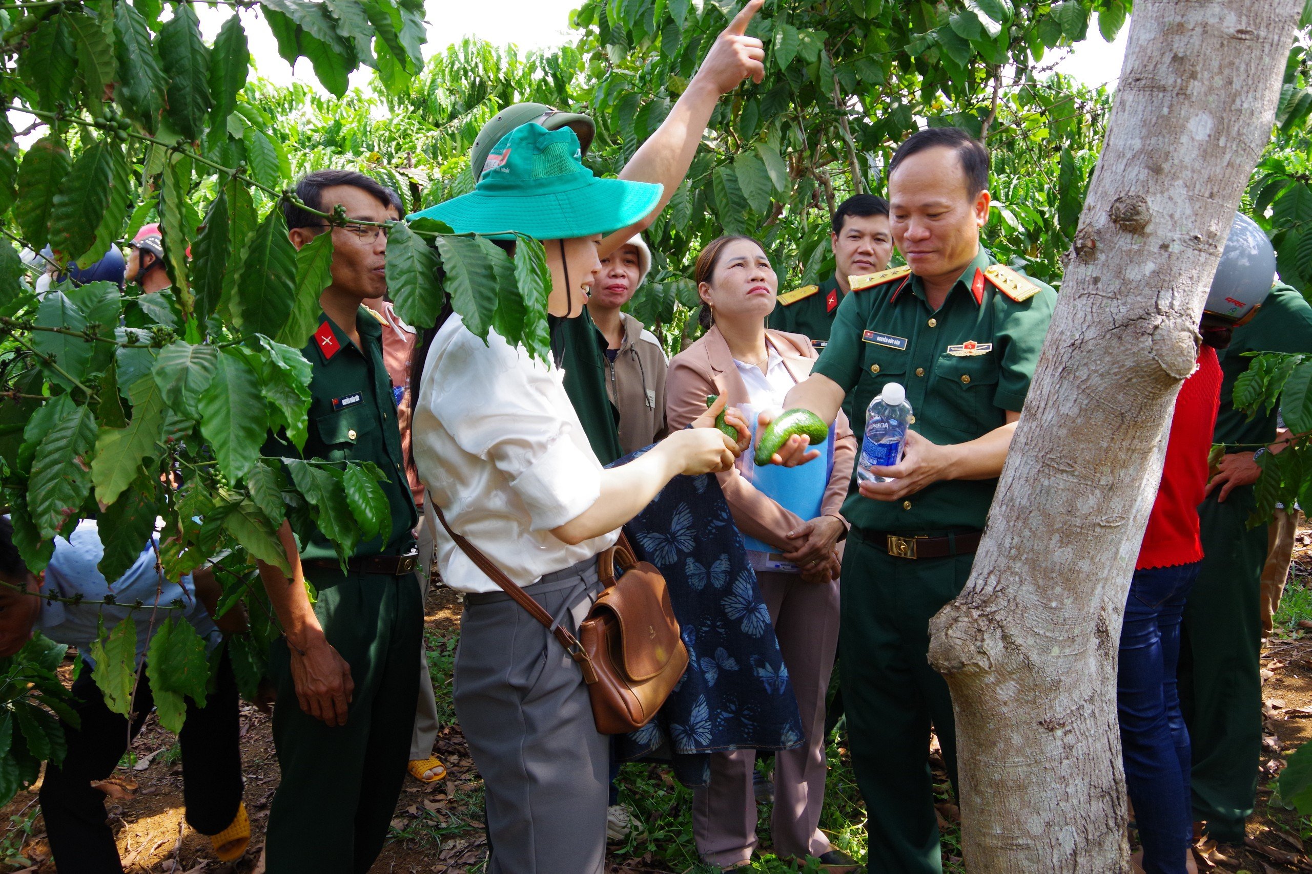 Binh đoàn 16 tập huấn công tác kỹ thuật - khuyến nông
