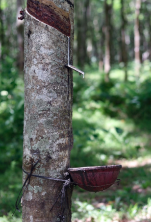 Sản phẩm kinh tế 3